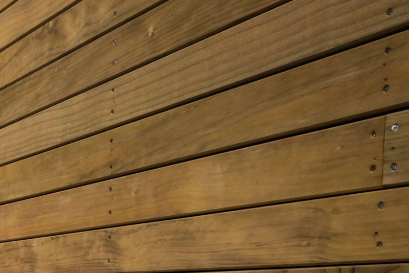 wood-damage-2-e1675986895622