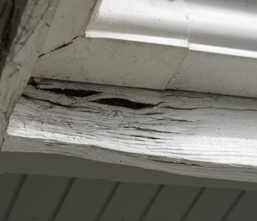 Close-up of dry rot splitting a painted fascia board
